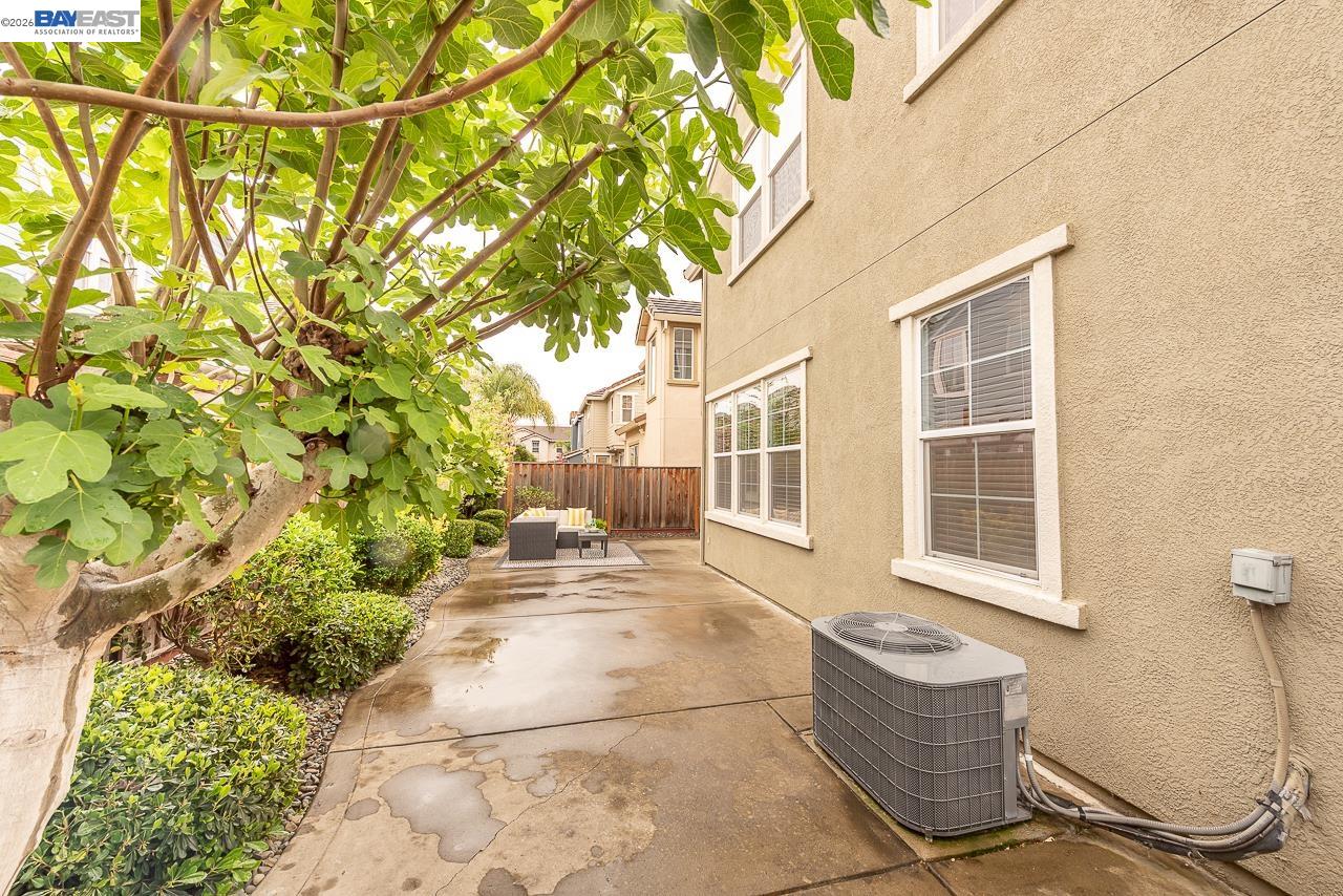 Detail Gallery Image 54 of 56 For 34187 Governo Dr, Union City,  CA 94587 - 4 Beds | 2/1 Baths