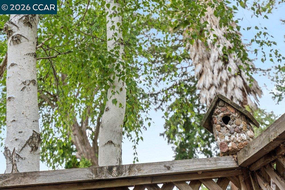 Photo #40: 41131941 Listing: Photo #40