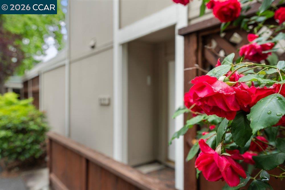 Photo #5: 41131941 Listing: Photo #5