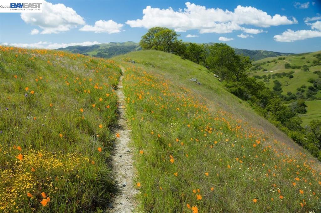 4129 Grant Ct, Pleasanton, CA, 94566