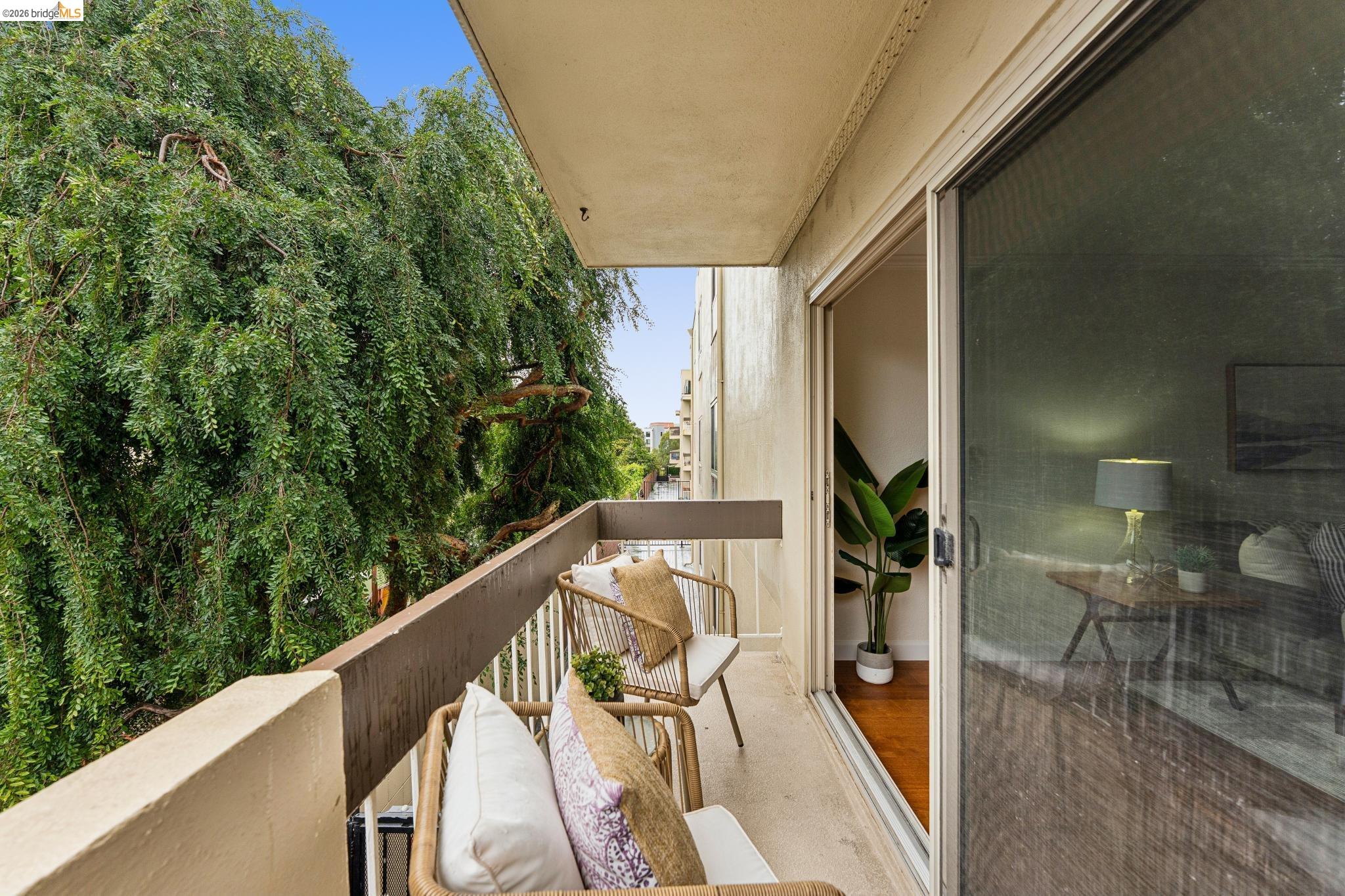 Photo #44: 41131967 Listing: Photo #44