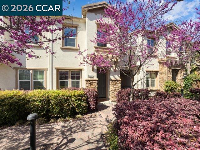 Front Image Thumbnail for CC41131982