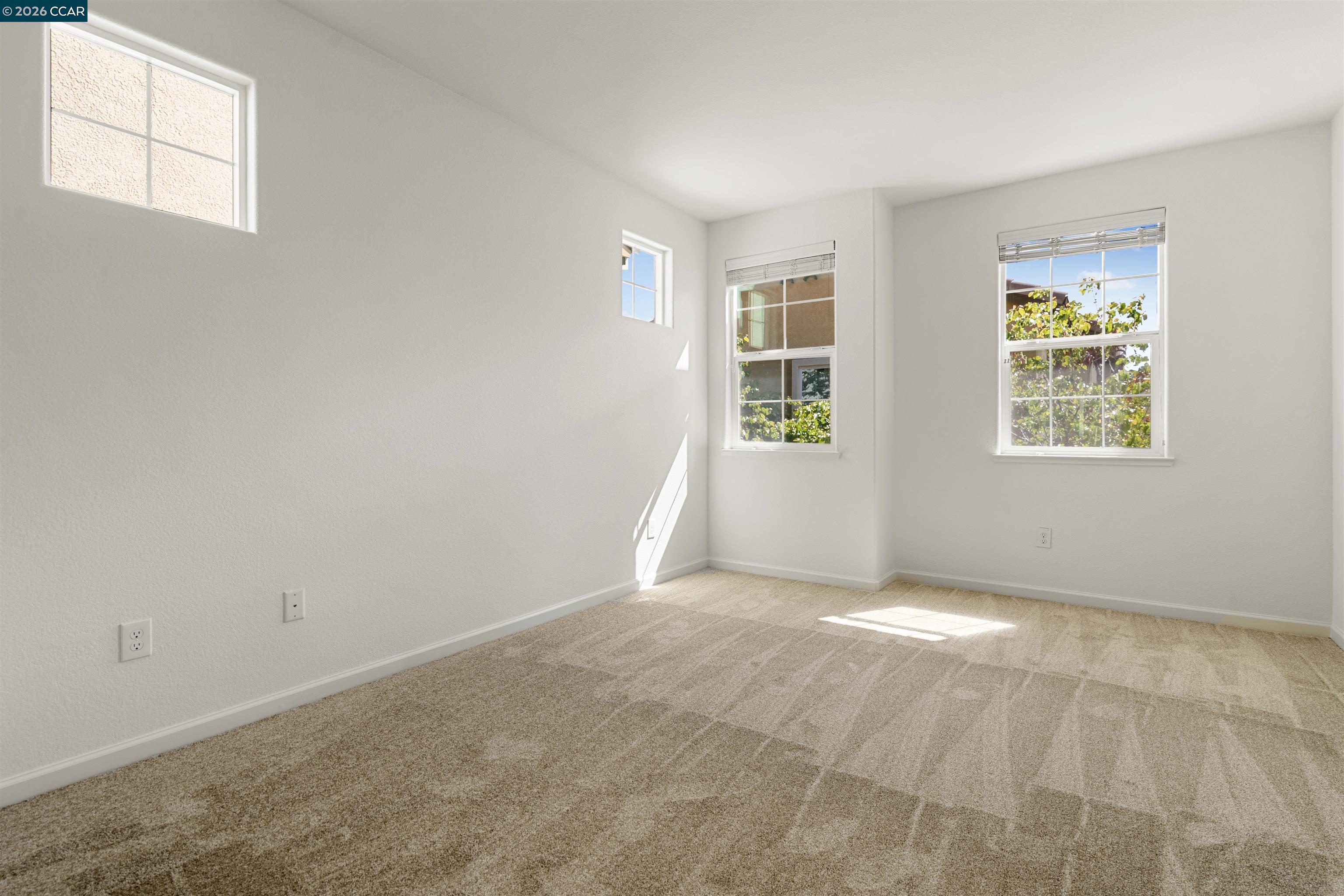 Photo #13: 41131982 Listing: Photo #13