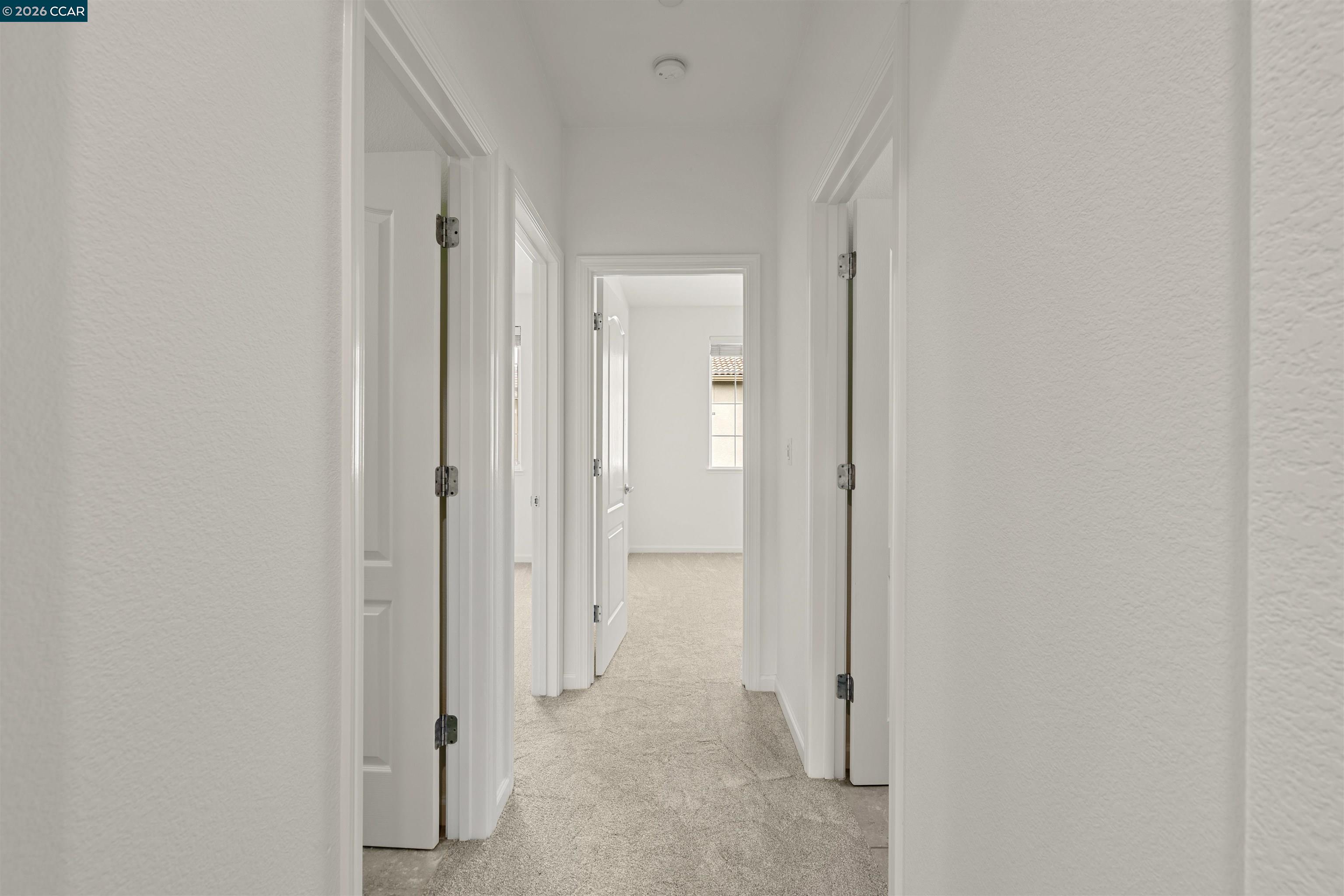 Photo #19: 41131982 Listing: Photo #19