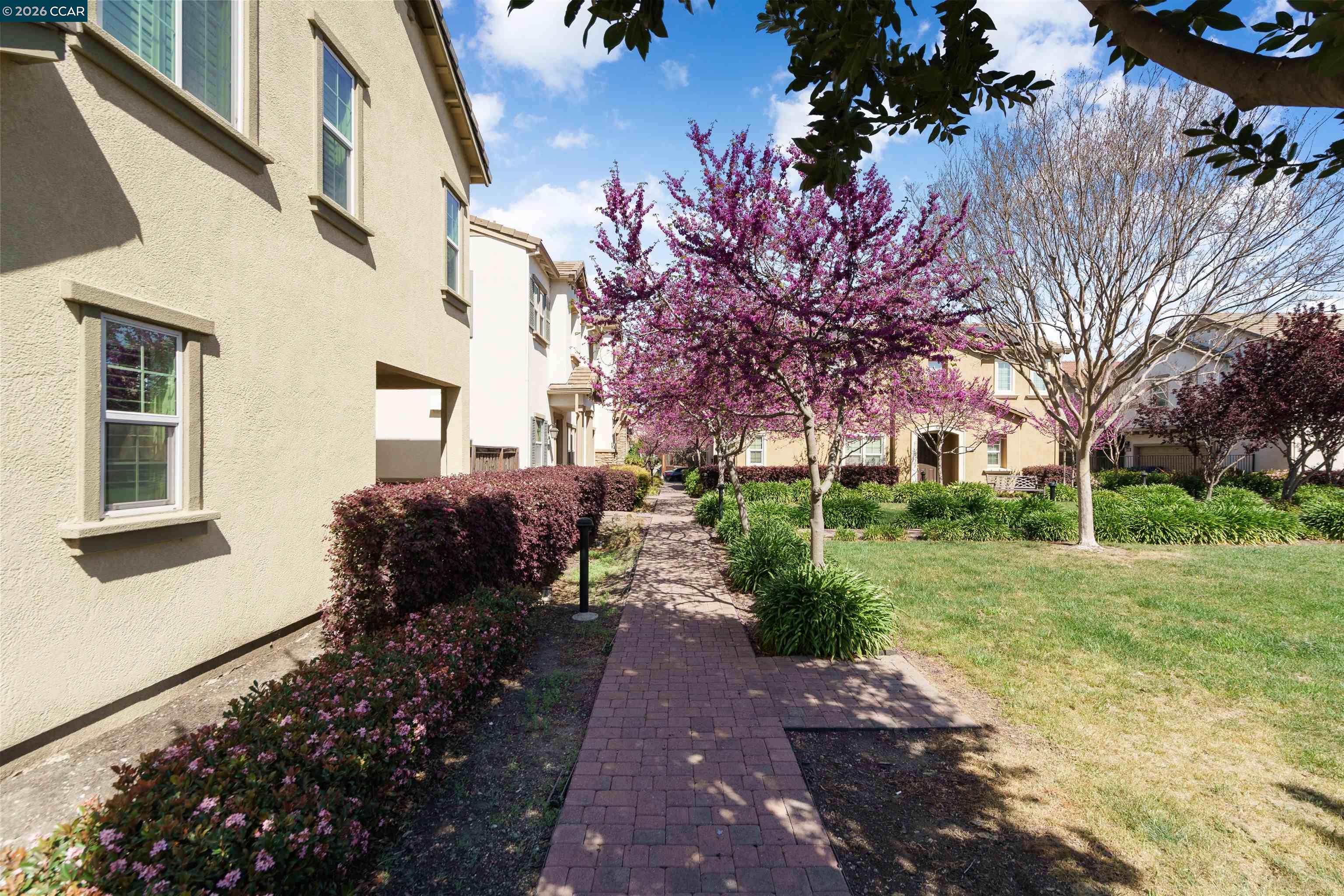 Photo #25: 41131982 Listing: Photo #25