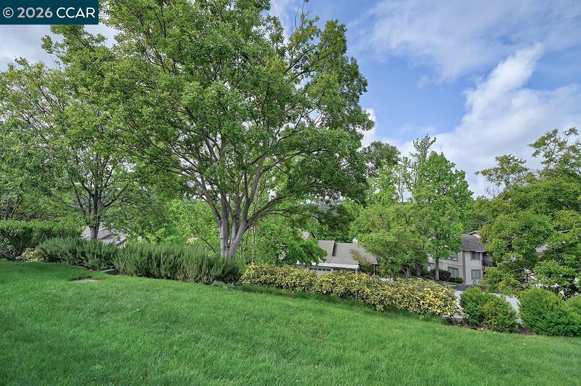 Photo #19: 41131999 Listing: Photo #19