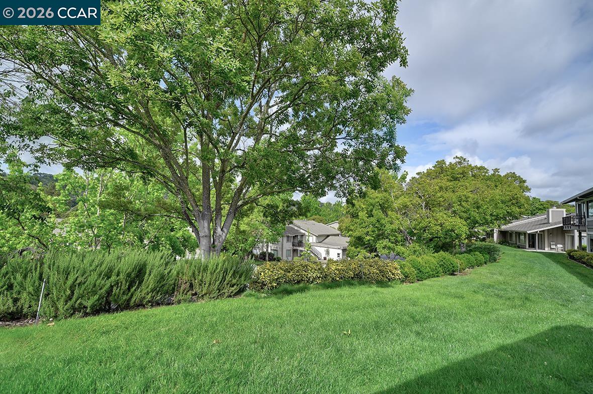 Photo #20: 41131999 Listing: Photo #20