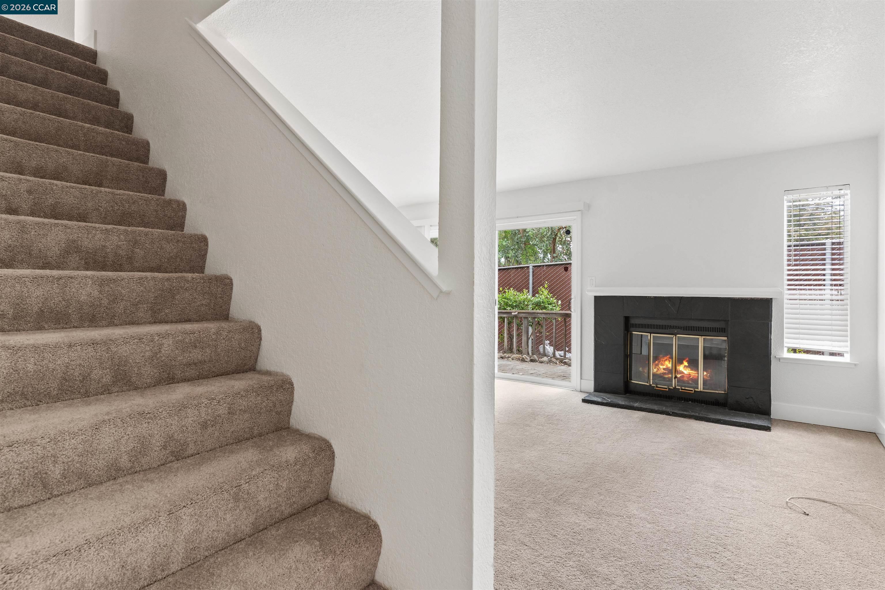 Photo #4: 41132000 Listing: Photo #4