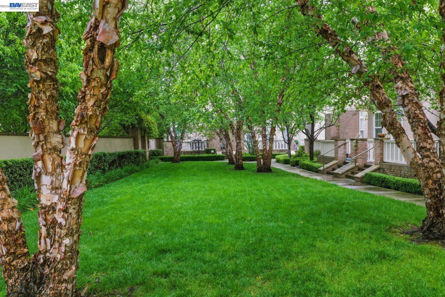 Photo #38: 41132037 Listing: Photo #38