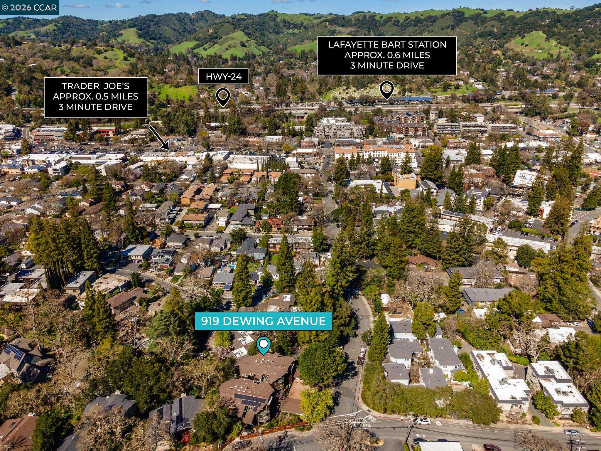 919 Dewing Ave, Lafayette CA 94549 — photo 33