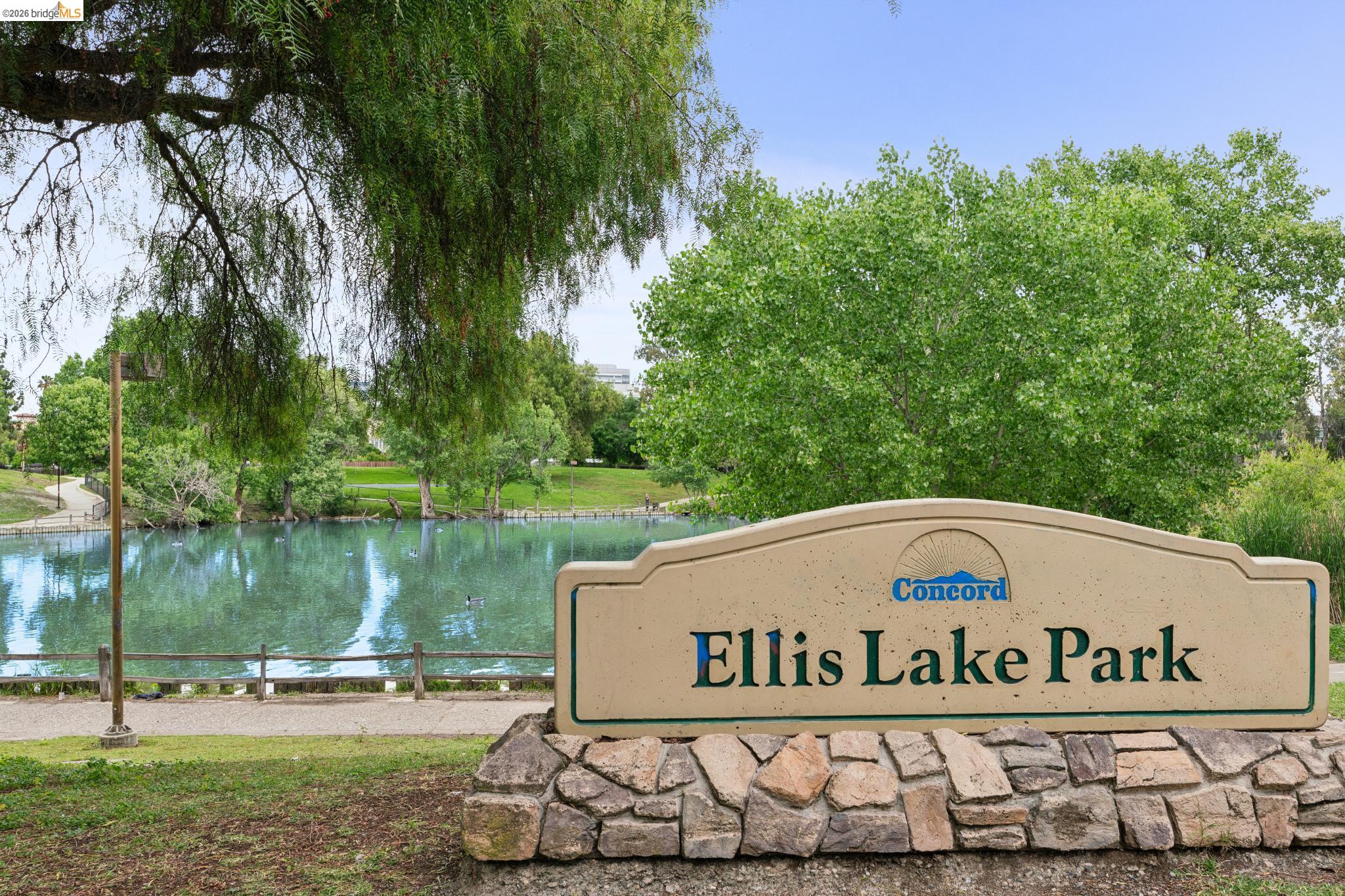 Photo #27: 41132044 Listing: Photo #27