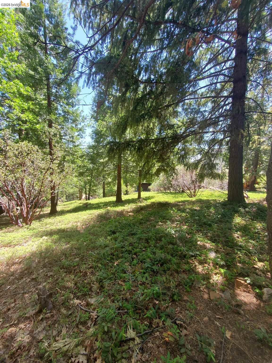 20922 Muheli, Mi Wuk Village, CA, 95346