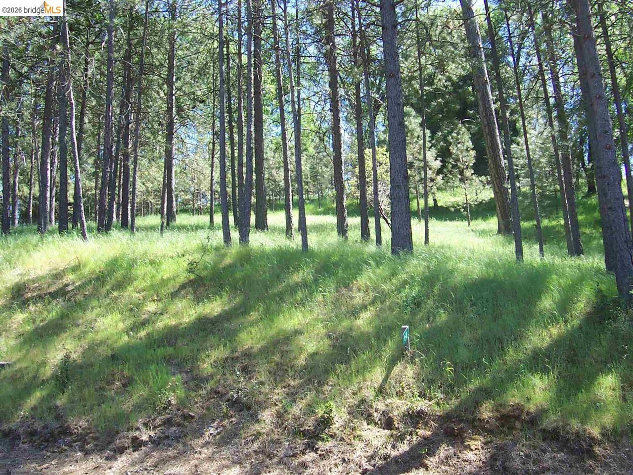 Groveland (A gateway to Yosemite)