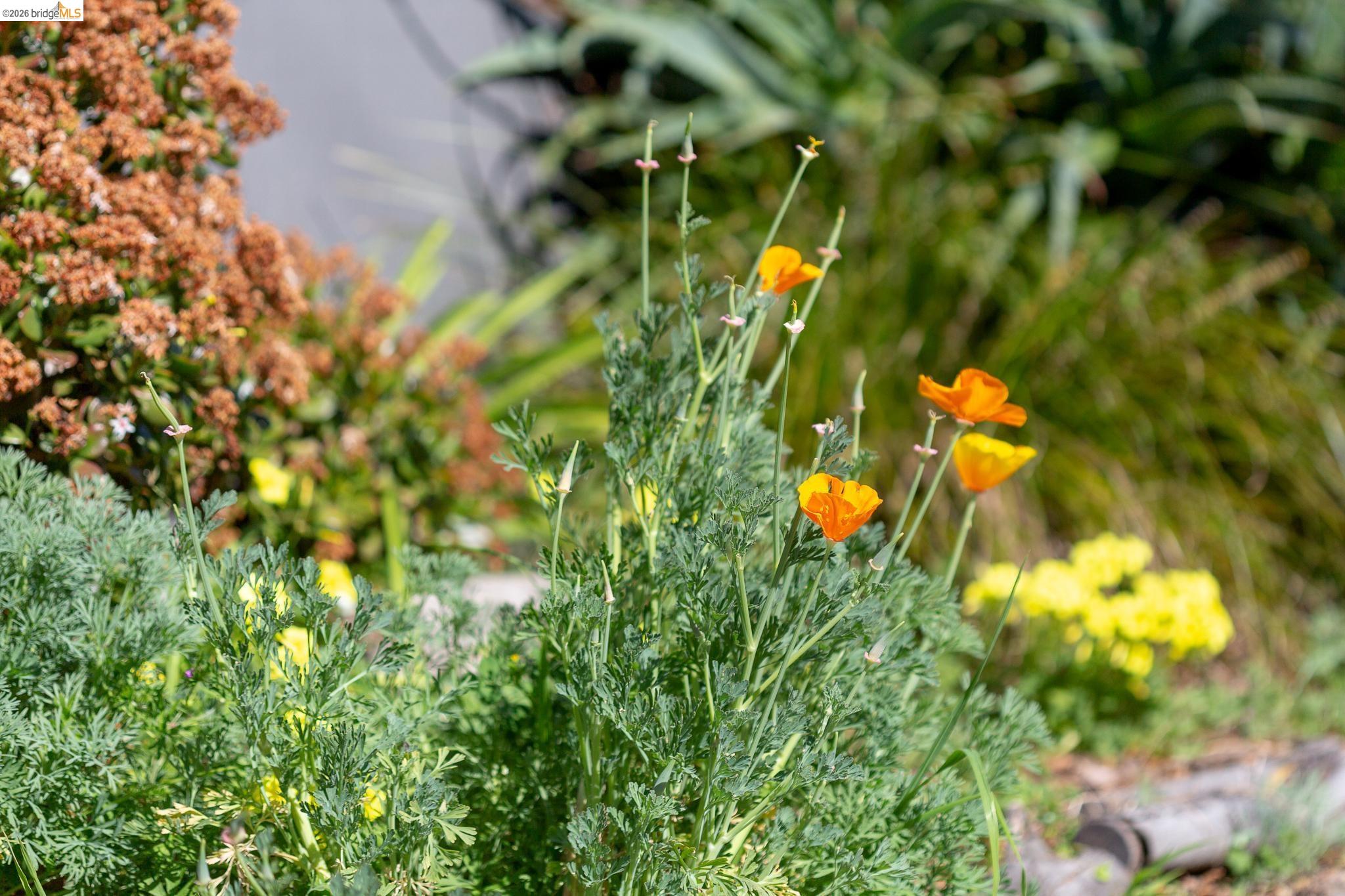 Photo #25: 41132115 Listing: Photo #25