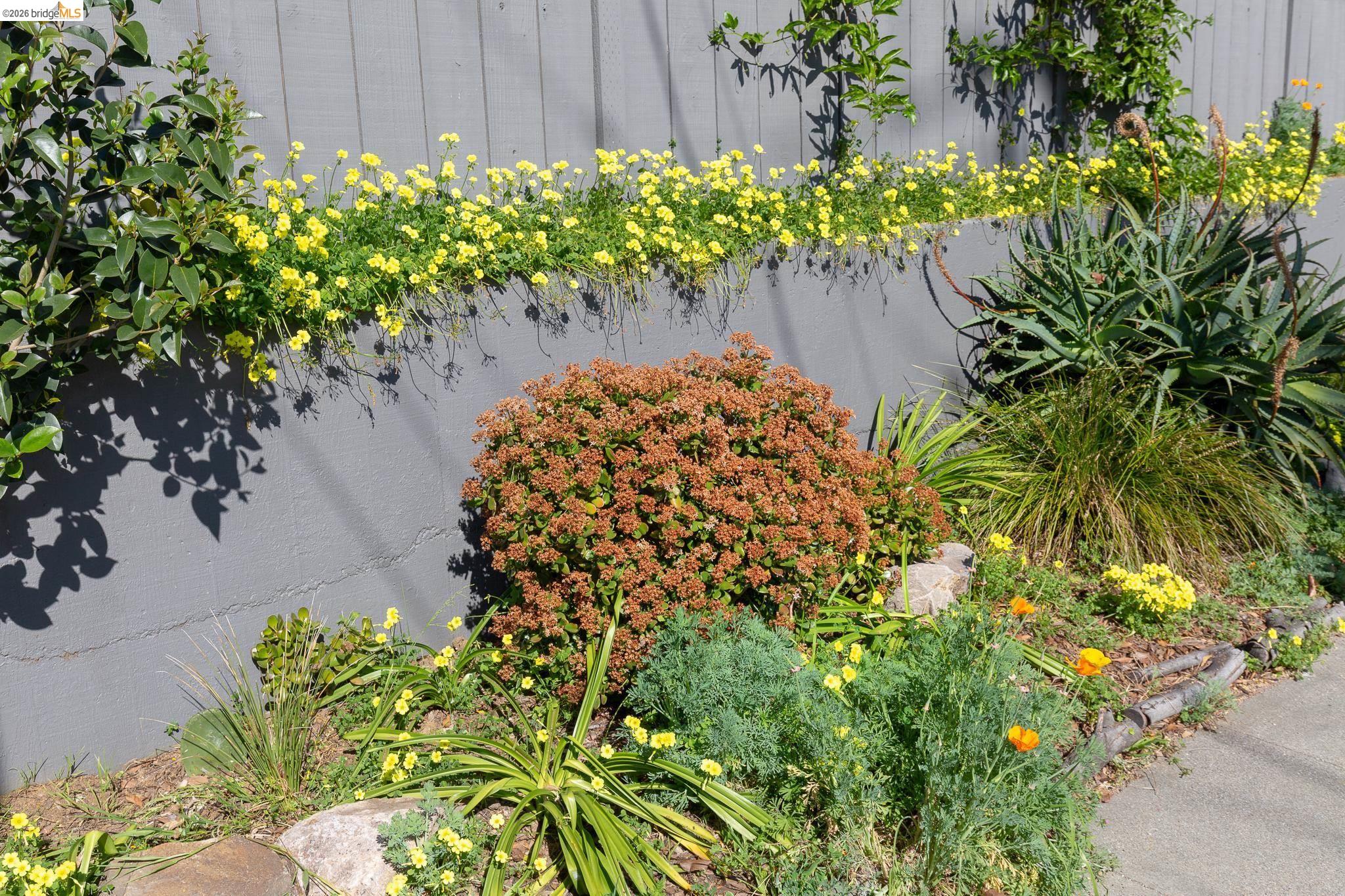 Photo #26: 41132115 Listing: Photo #26