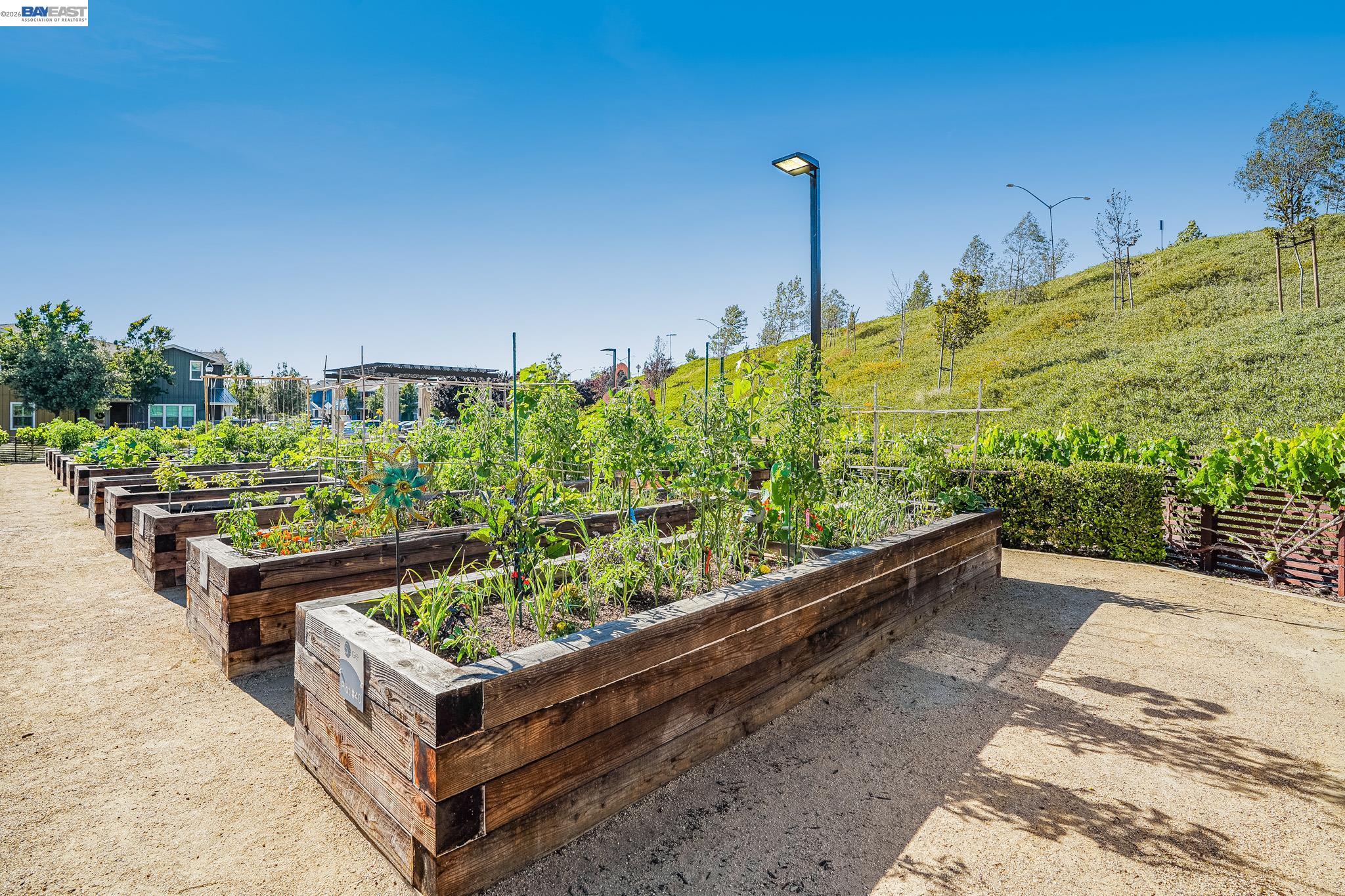 Photo #44: 41132116 Listing: Photo #44