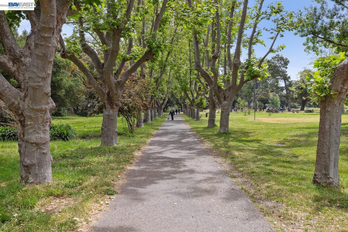 Photo #31: 41132118 Listing: Photo #31