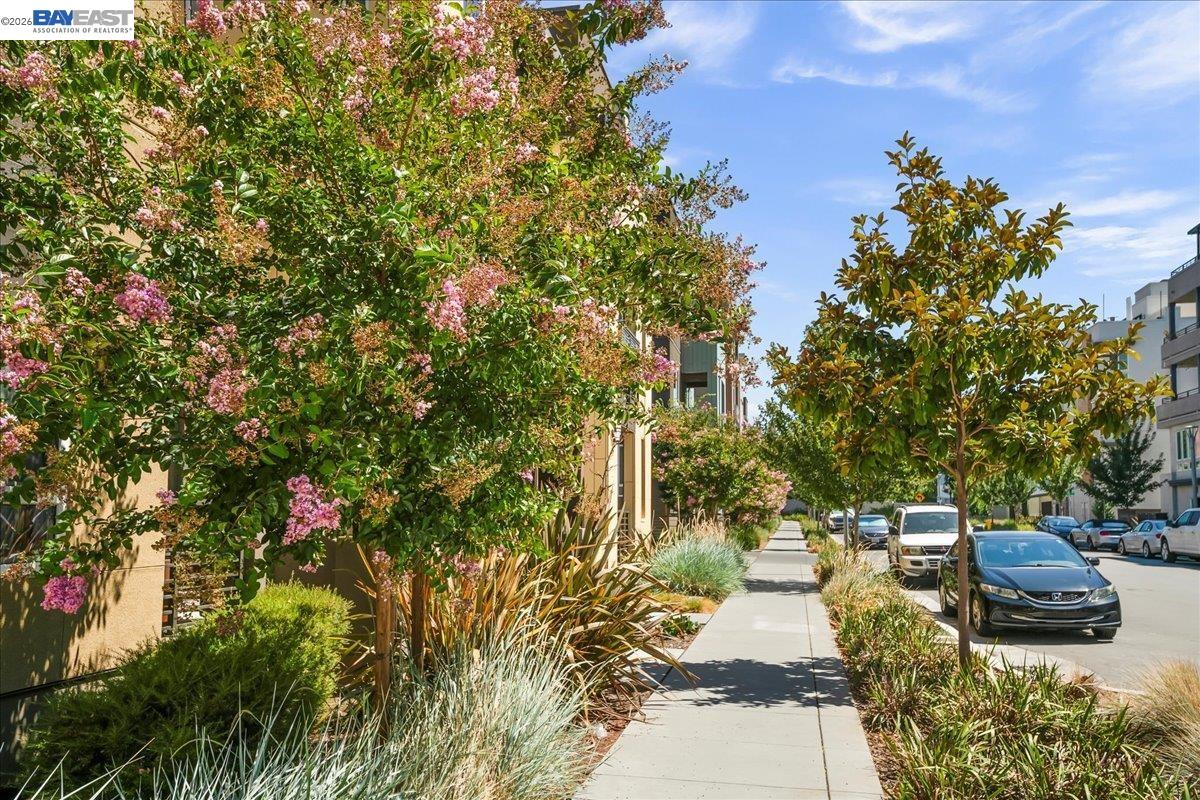 Photo #25: 41132139 Listing: Photo #25