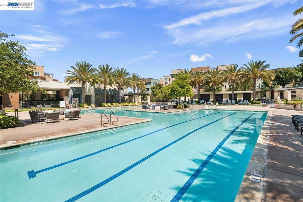 Photo #40: 41132139 Listing: Photo #40