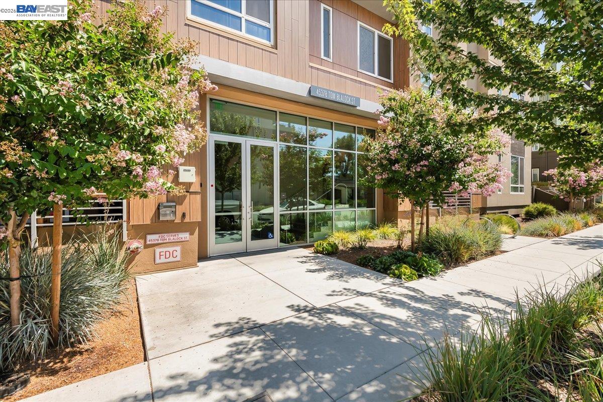 Photo #42: 41132139 Listing: Photo #42