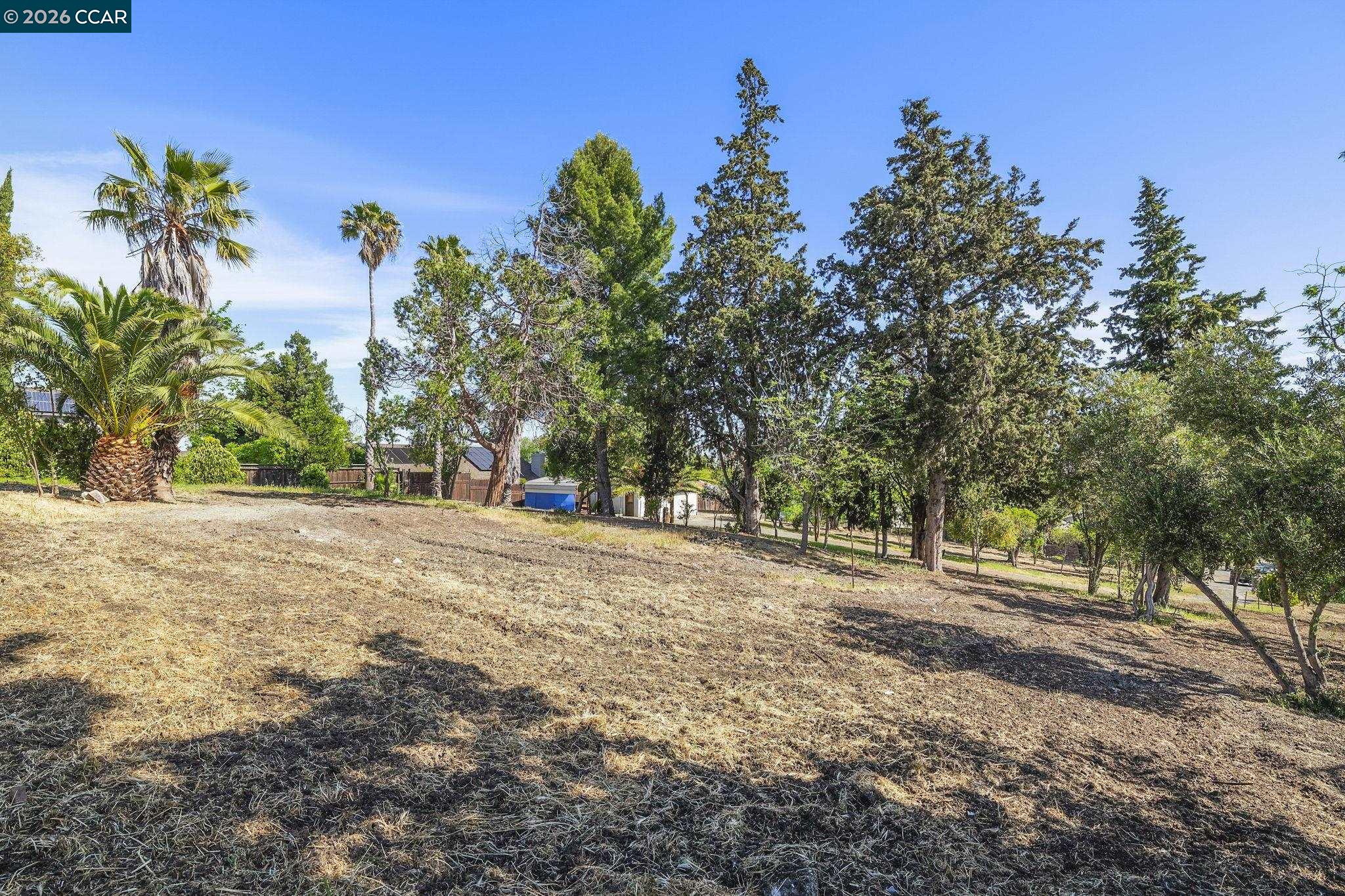 Front Image Thumbnail for CC41132194