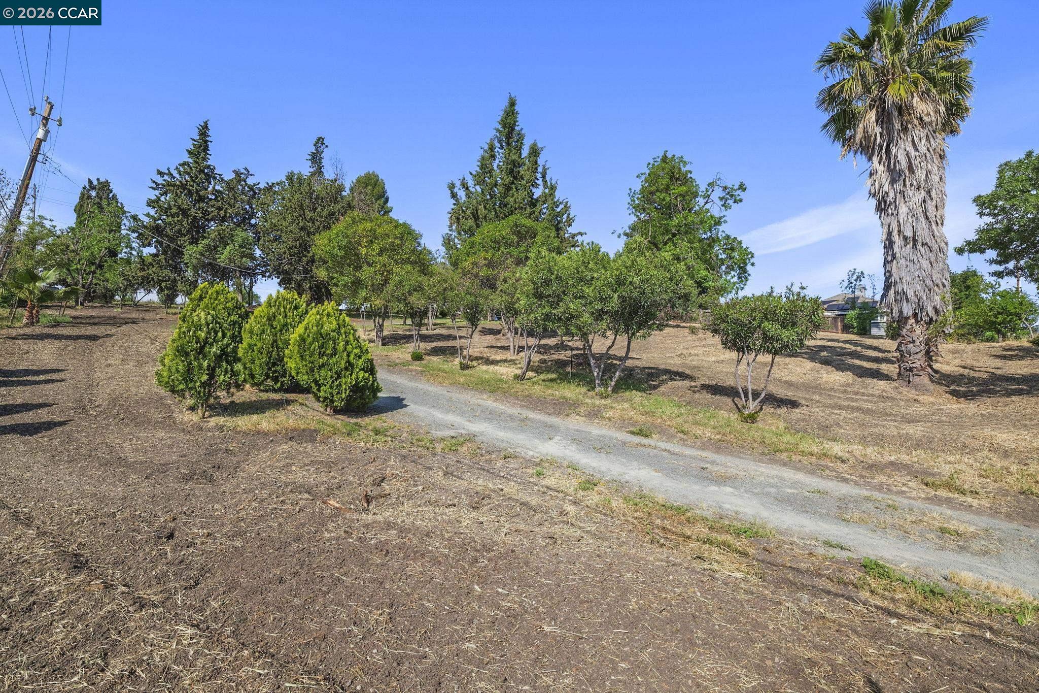 1051 Tilley Cir, Concord CA 94518 — photo 2