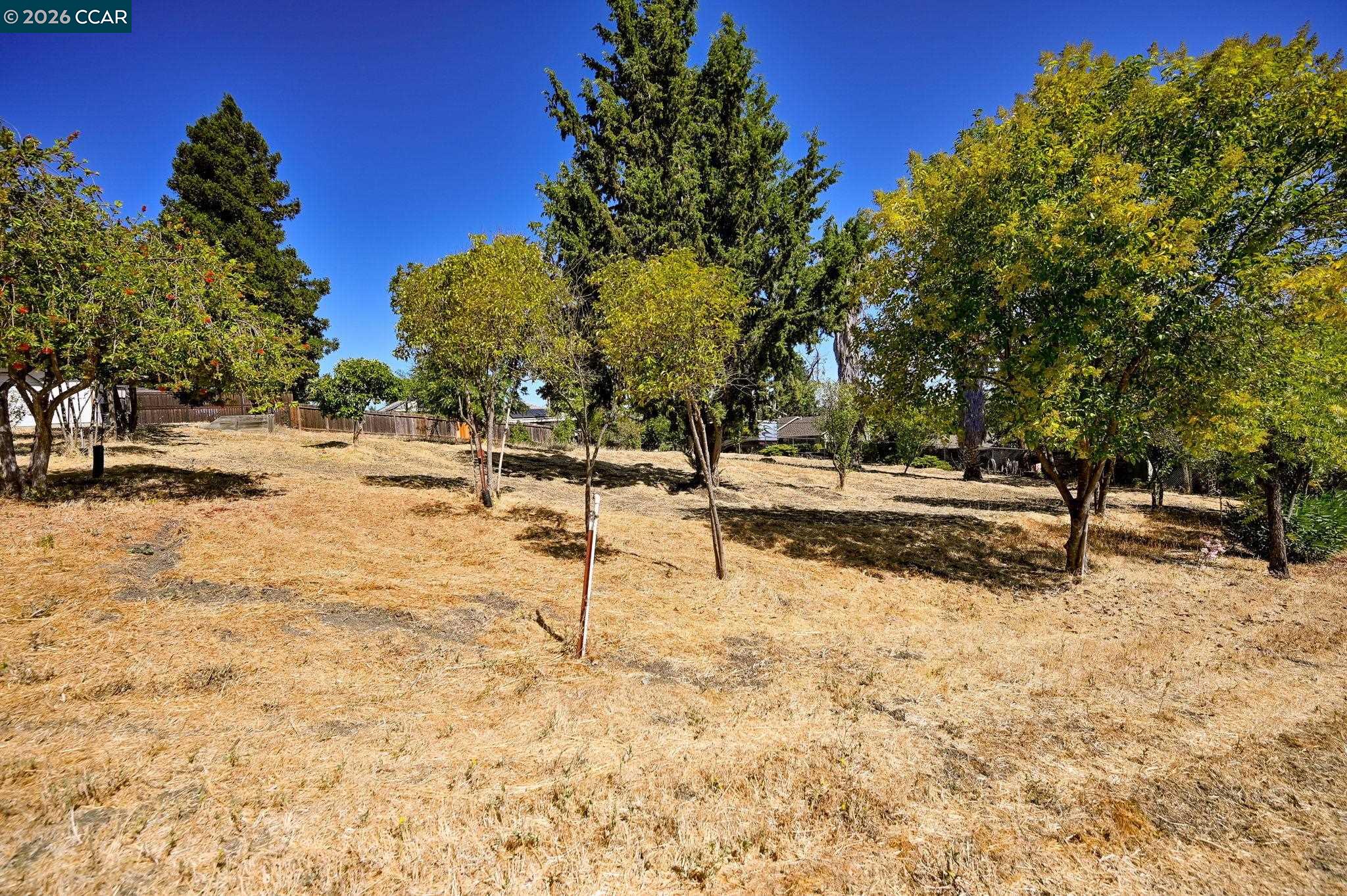 1051 Tilley Cir, Concord CA 94518 — photo 9
