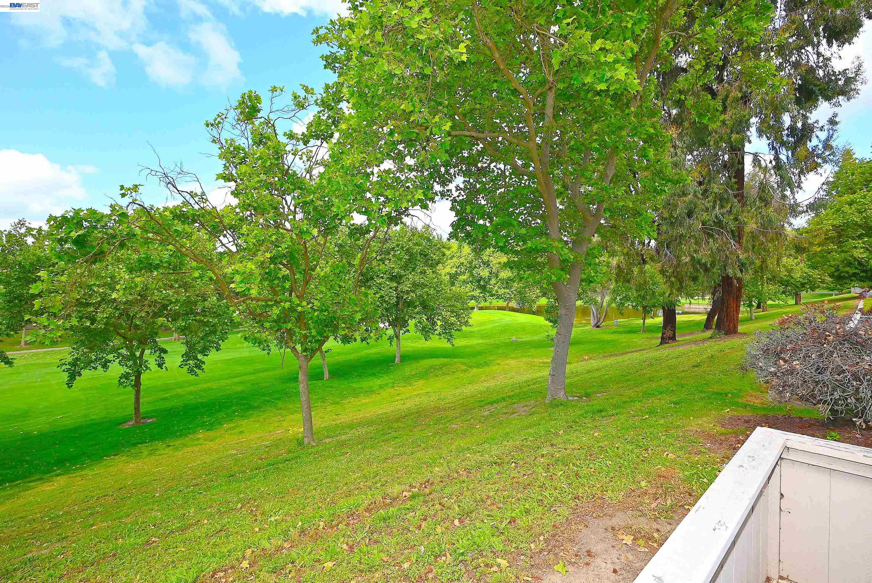 Photo #37: 41132222 Listing: Photo #37