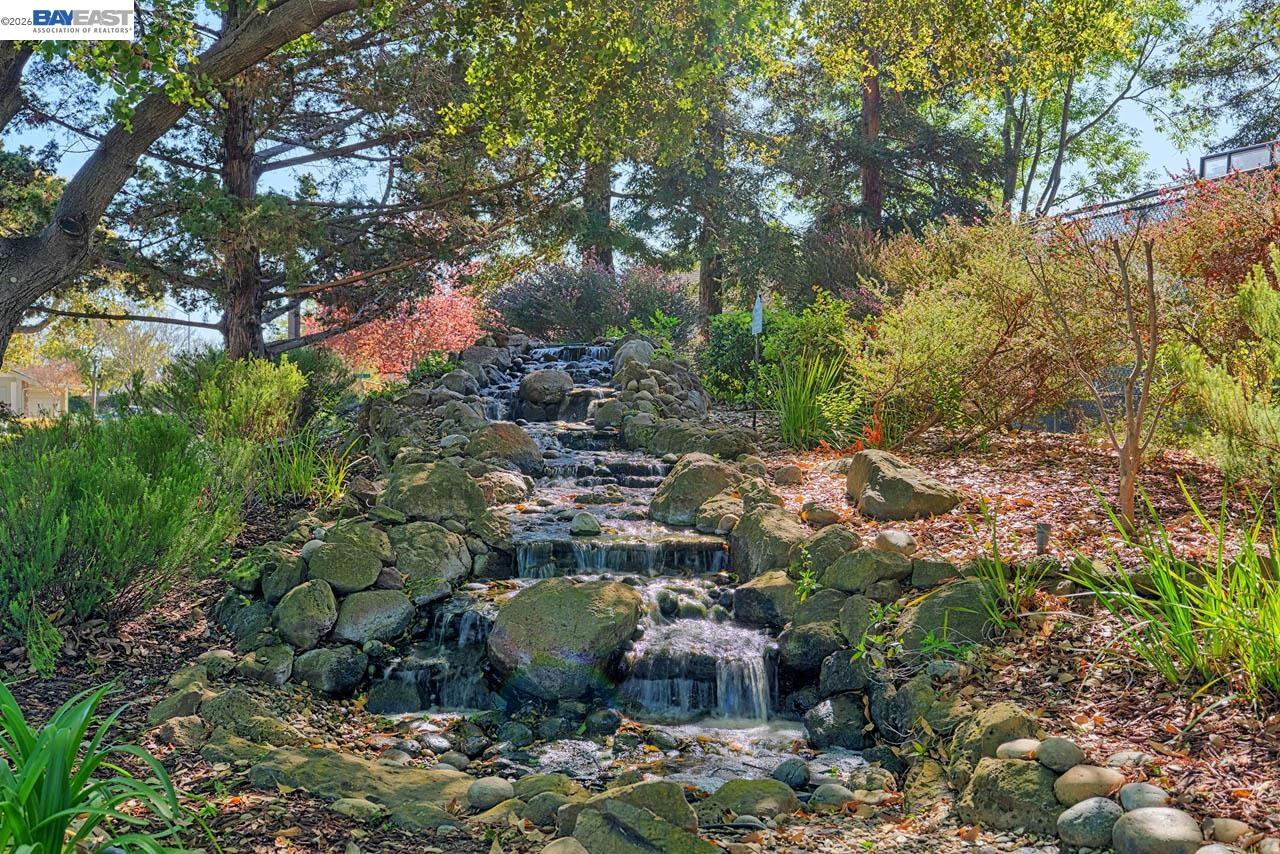 Photo #31: 41132236 Listing: Photo #31