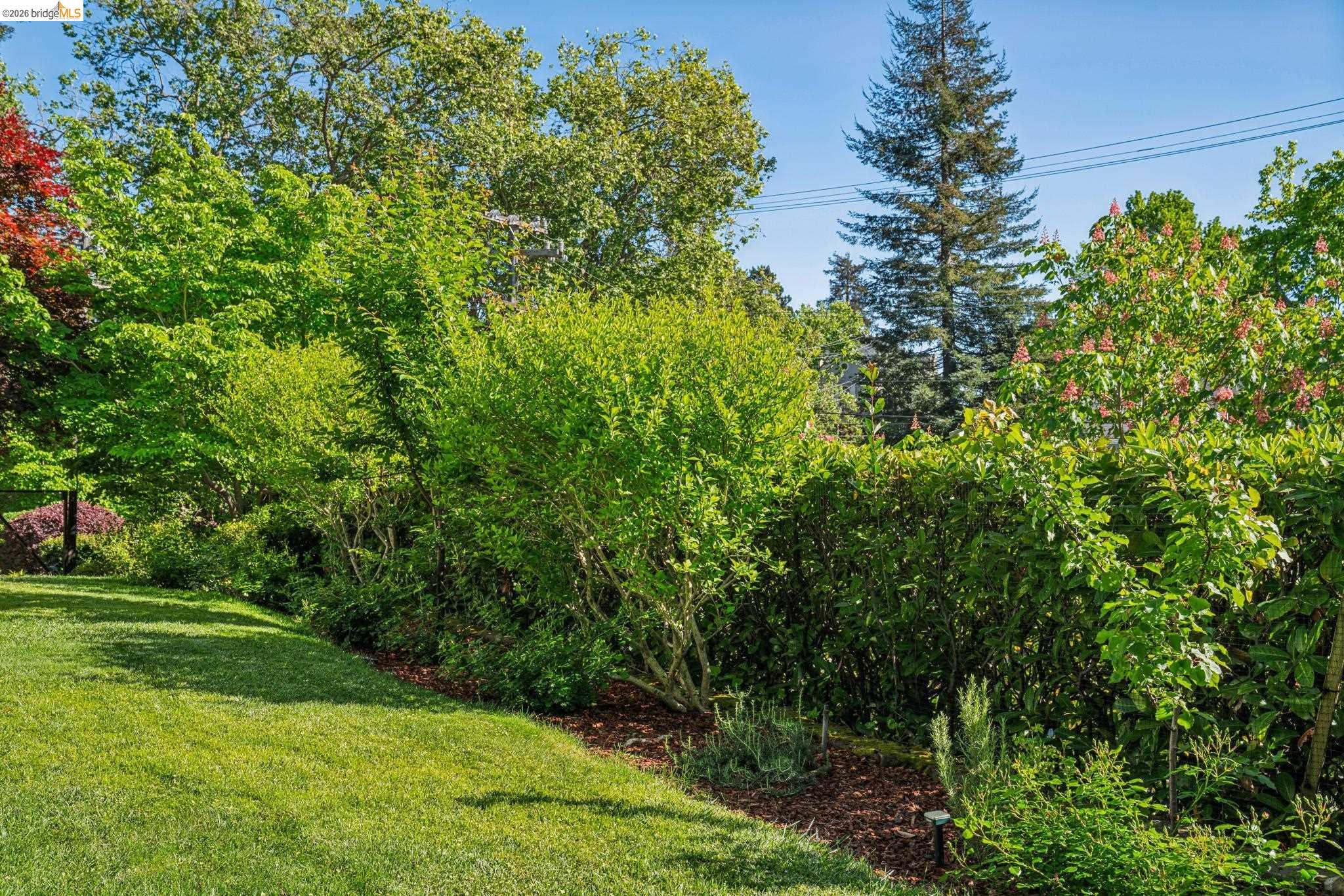 305 Sheridan Ave, Piedmont, CA, 94611