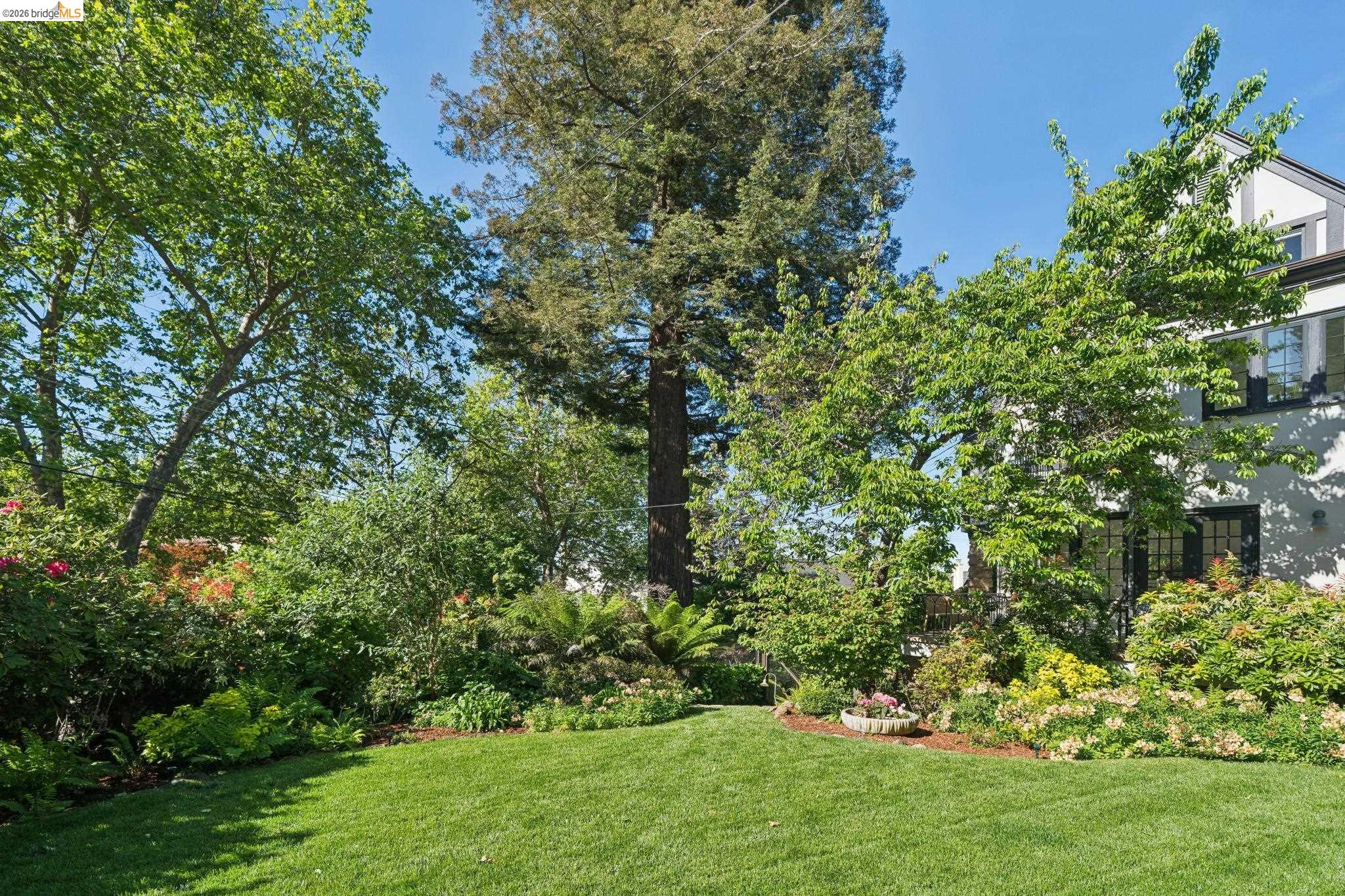 305 Sheridan Ave, Piedmont, CA, 94611