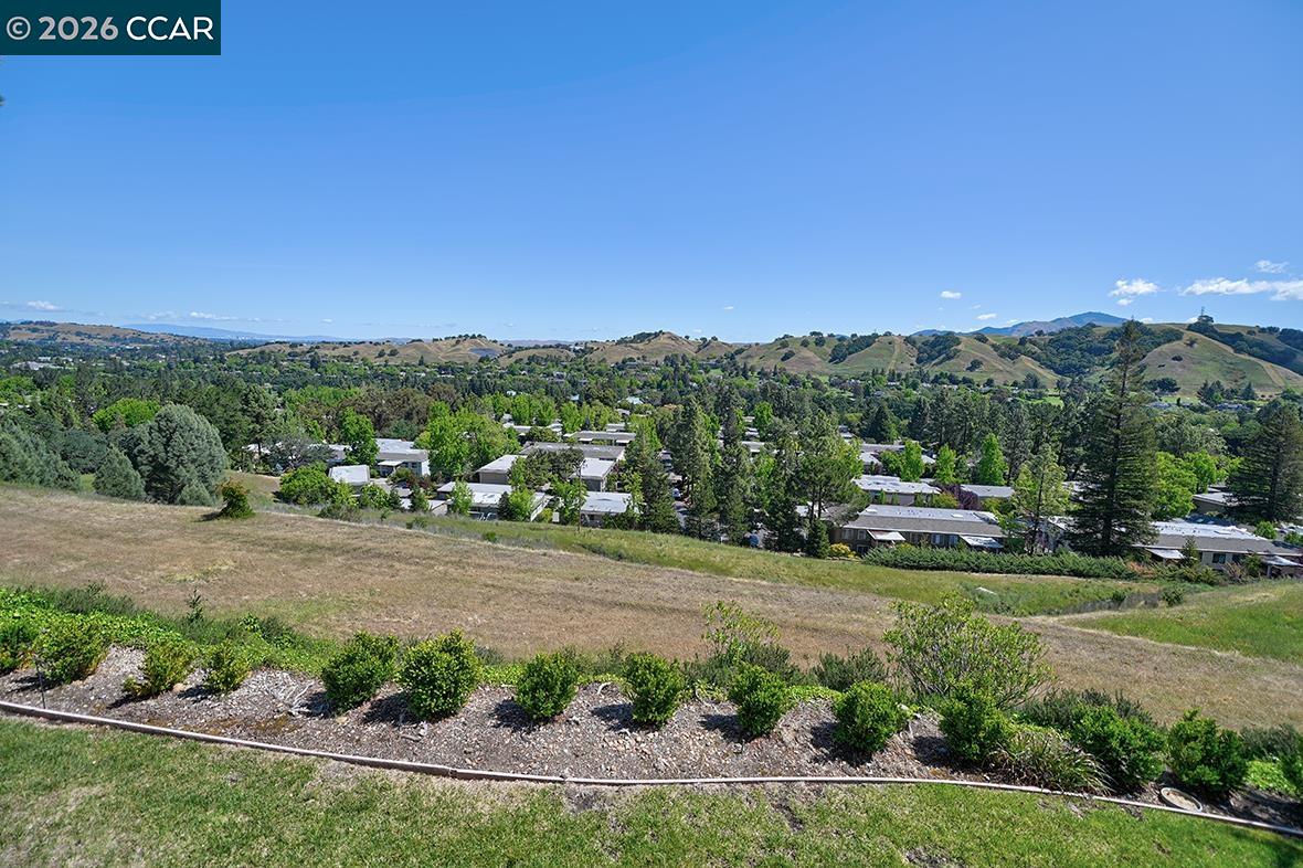 Photo #21: 41132262 Listing: Photo #21