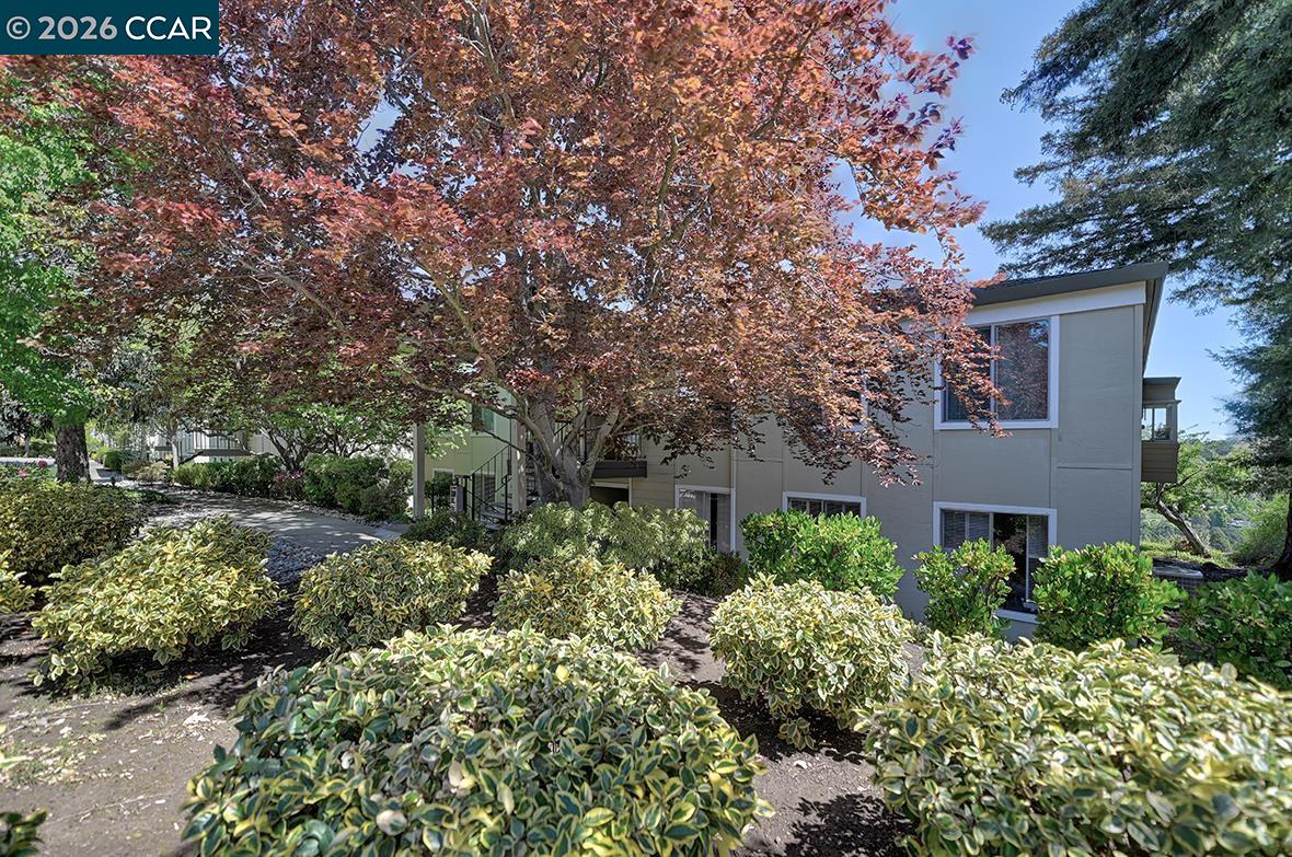 Photo #48: 41132262 Listing: Photo #48