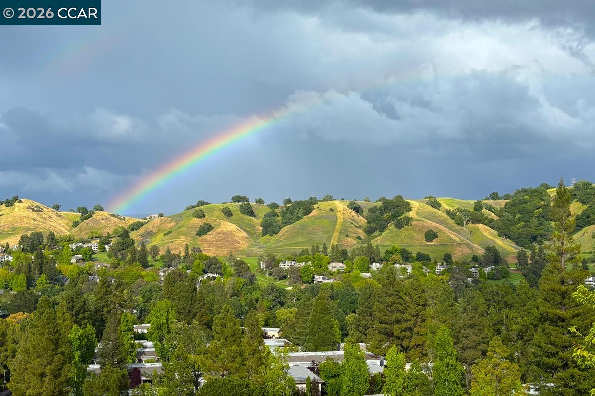 Photo #52: 41132262 Listing: Photo #52