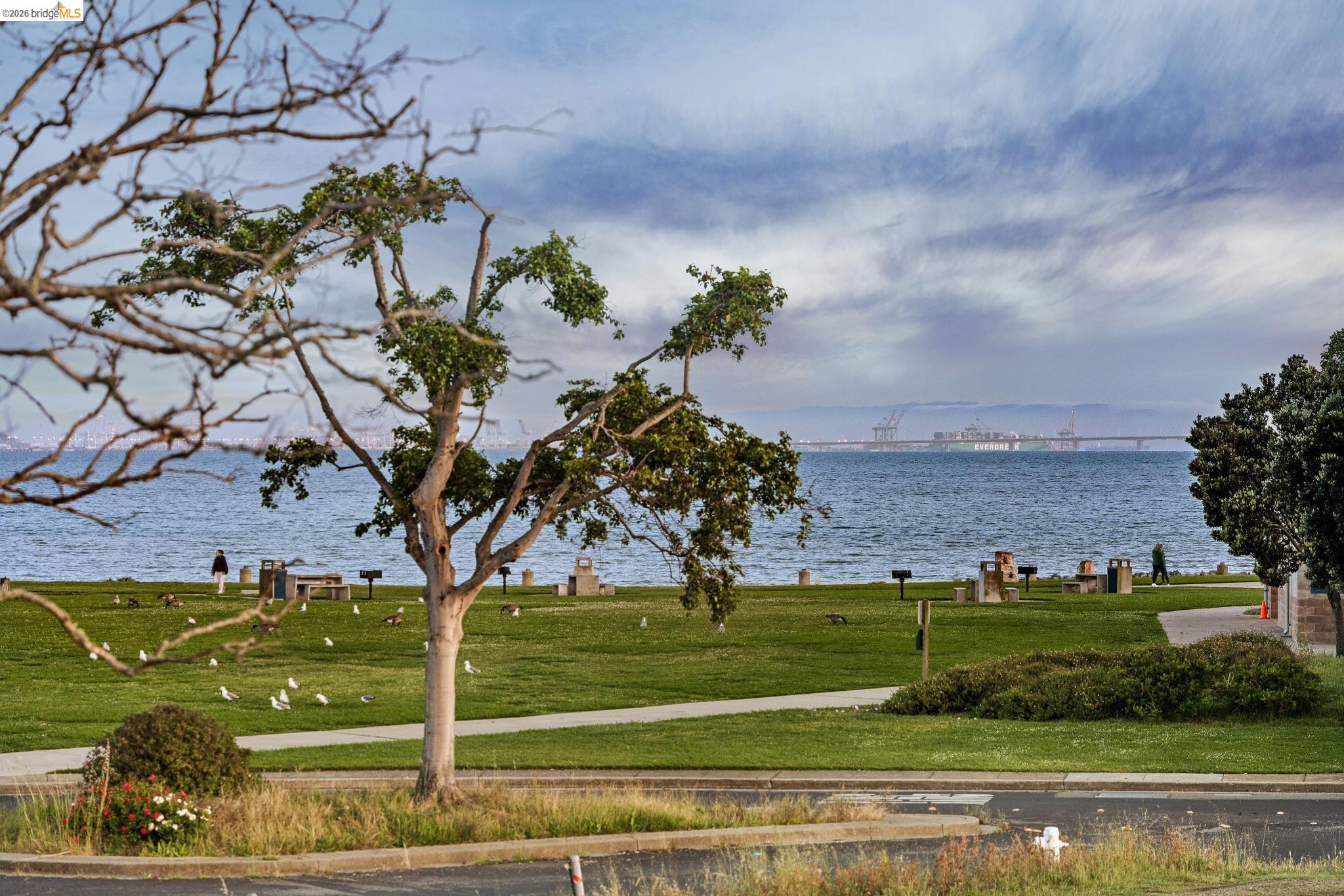 Photo #27: 41132266 Listing: Photo #27