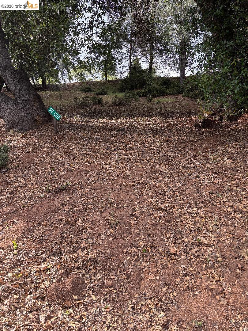 Front Image Thumbnail for EB41132278