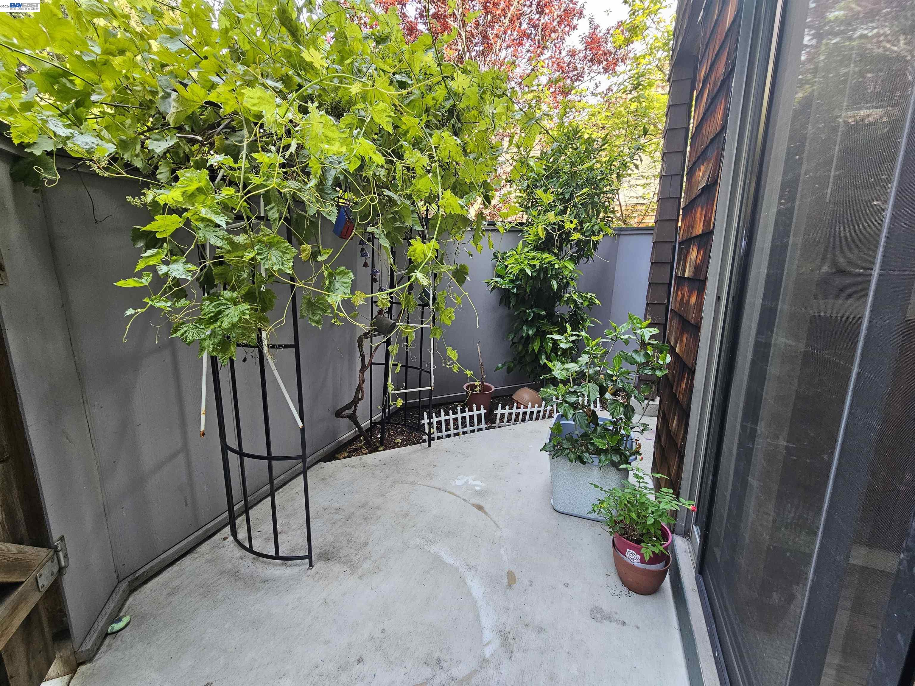 Photo #17: 41132290 Listing: Photo #17