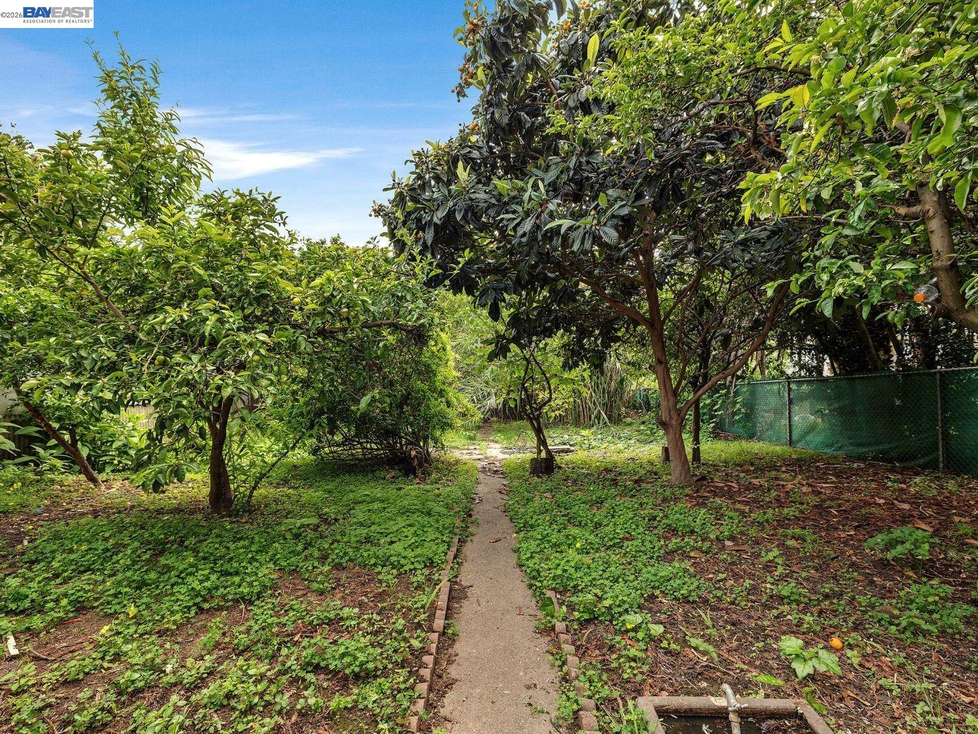 2226 13th Ave, Oakland CA 94606 — photo 5