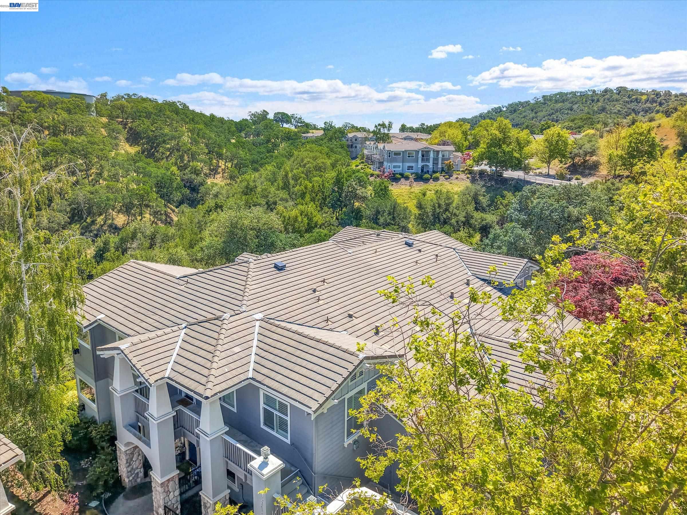 Photo #43: 41132298 Listing: Photo #43