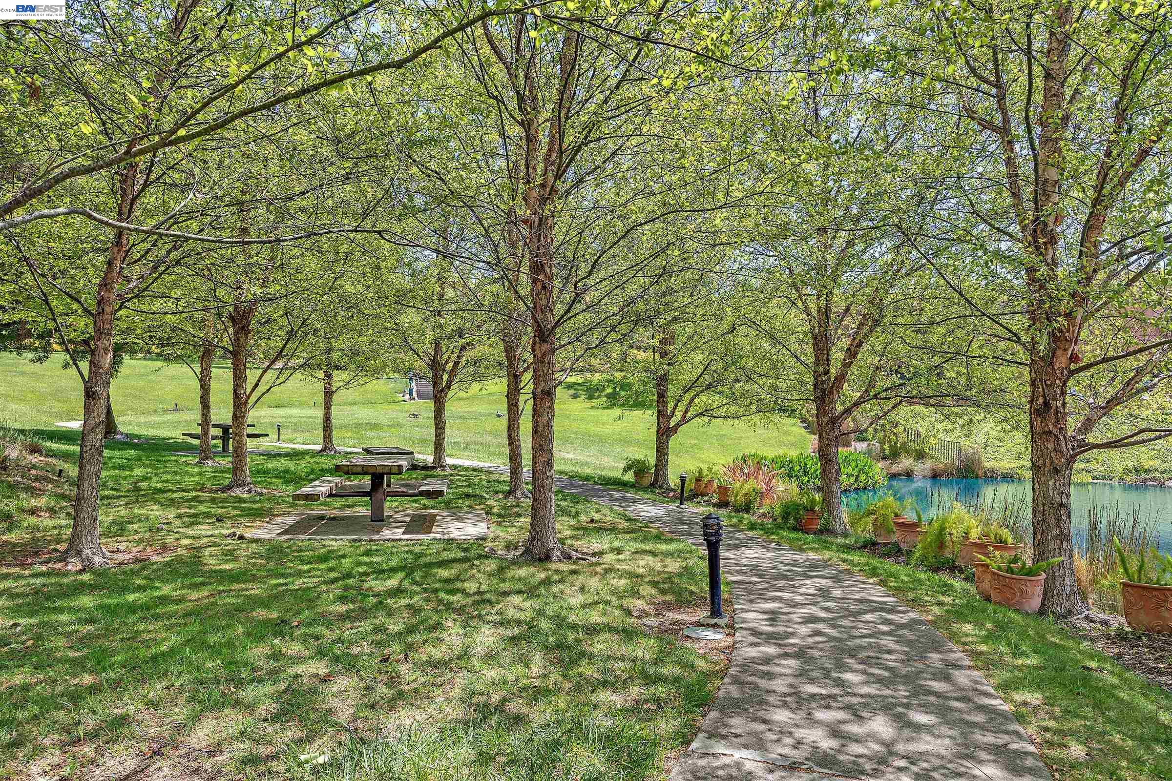 Photo #40: 41132303 Listing: Photo #40