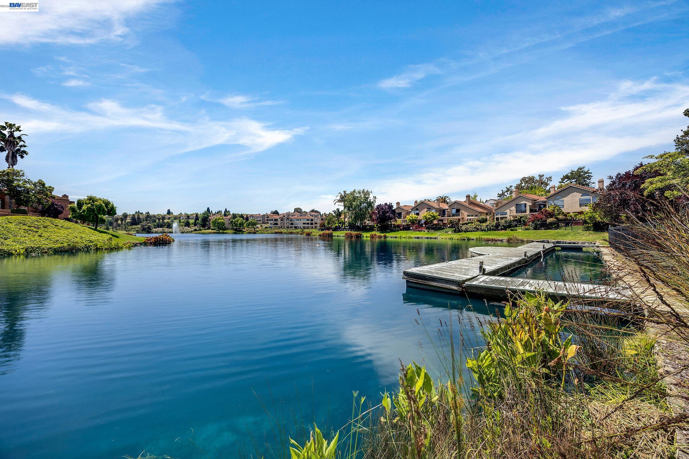 Photo #46: 41132303 Listing: Photo #46