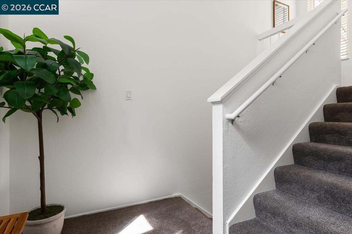 Photo #12: 41132313 Listing: Photo #12