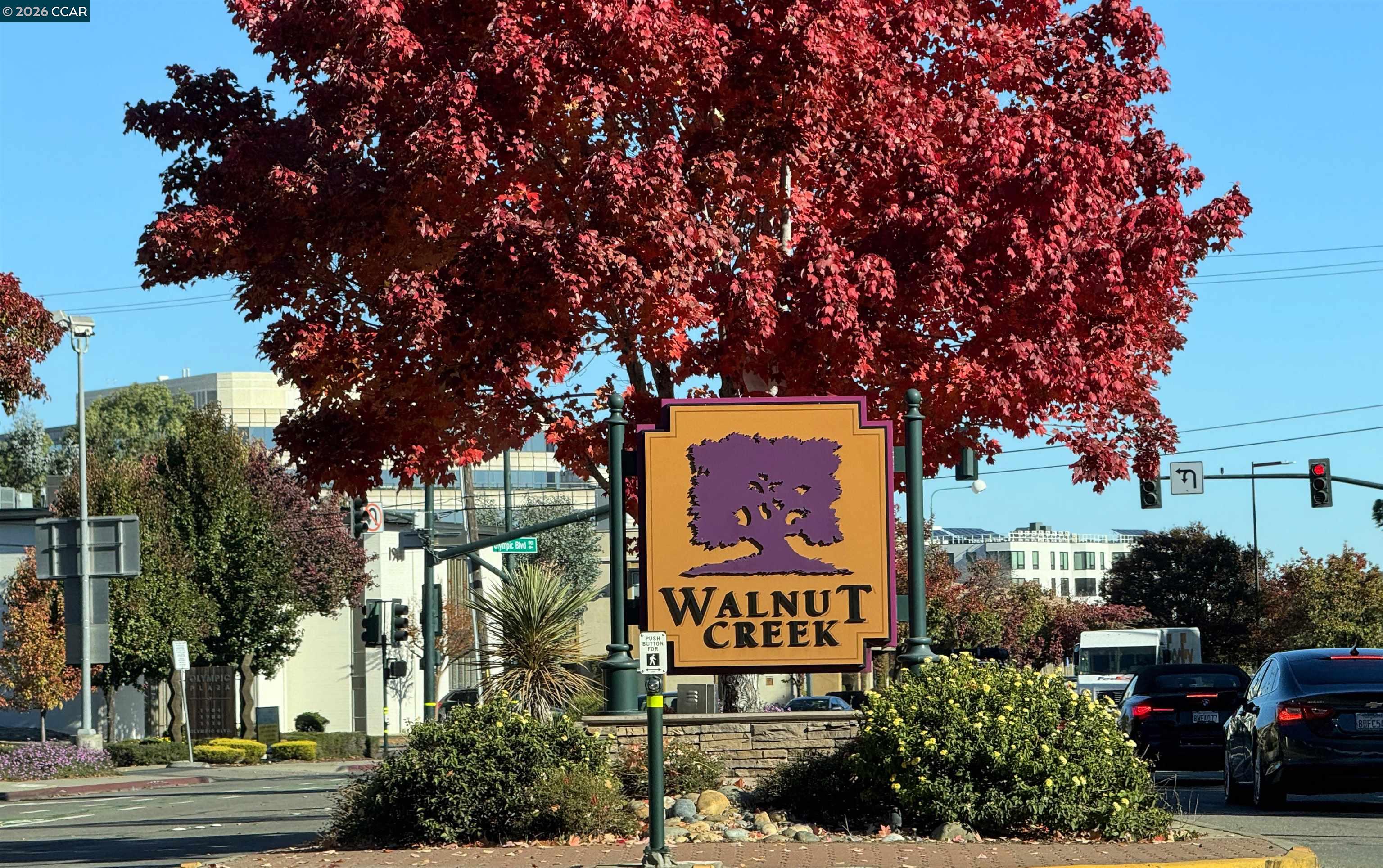 Photo #75: 41132316 Listing: Photo #75