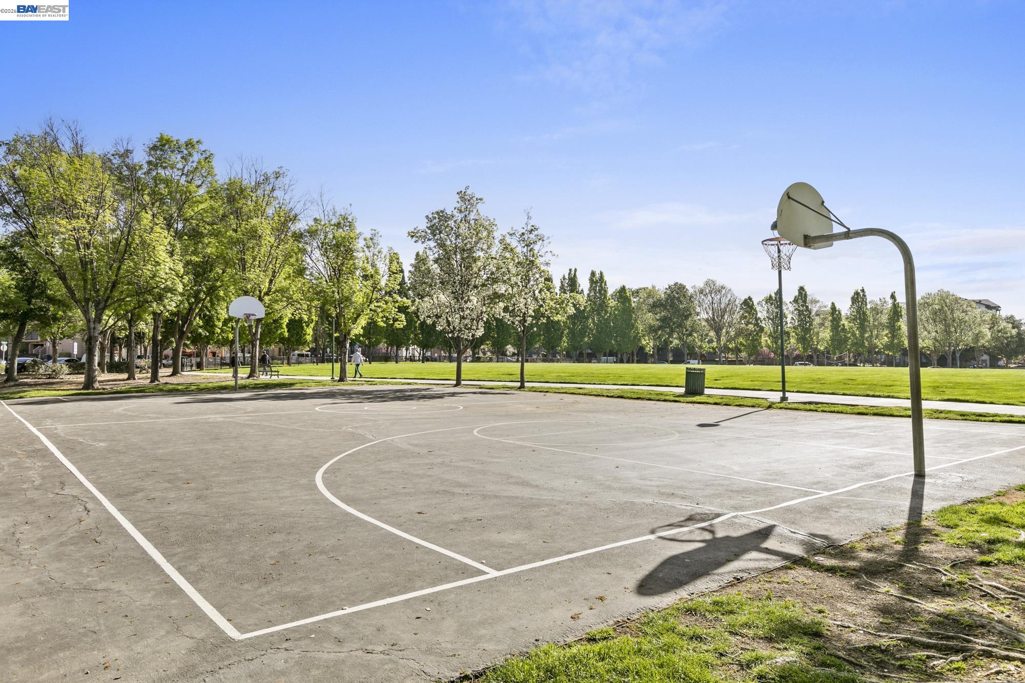 Photo #44: 41132319 Listing: Photo #44