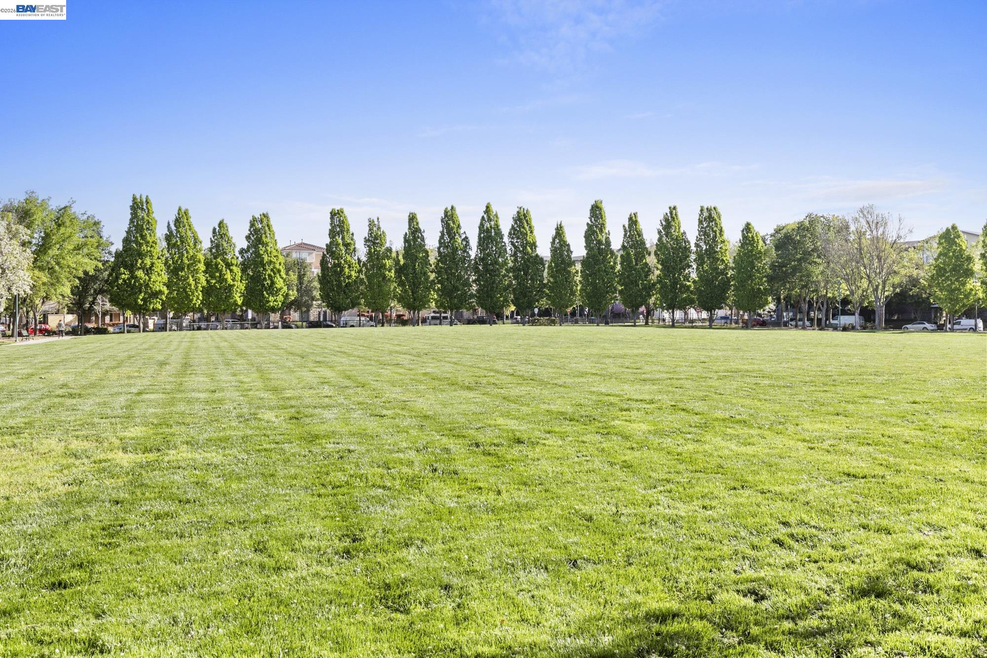 Photo #45: 41132319 Listing: Photo #45