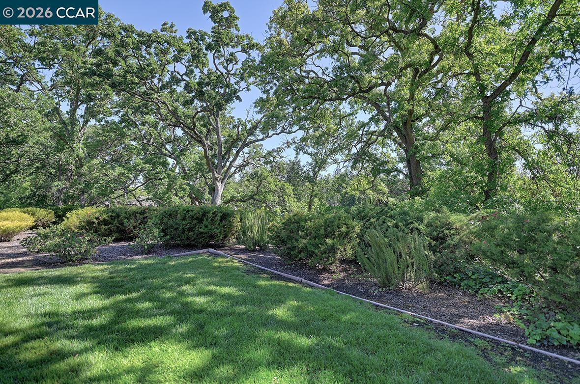 Photo #20: 41132336 Listing: Photo #20