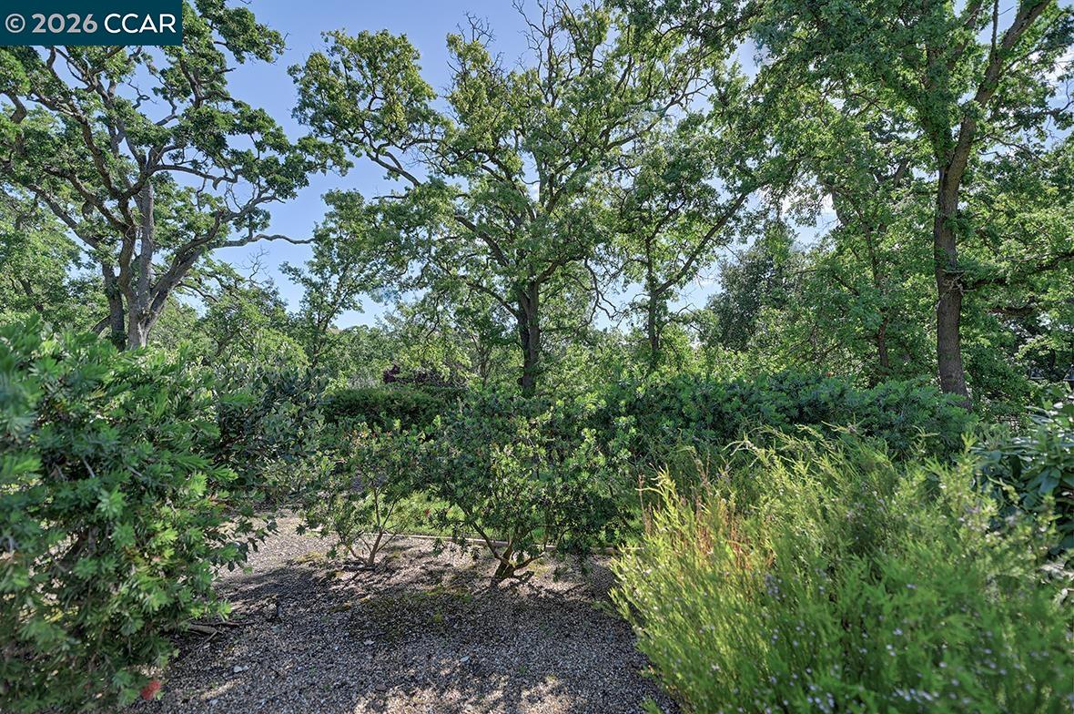 Photo #39: 41132336 Listing: Photo #39