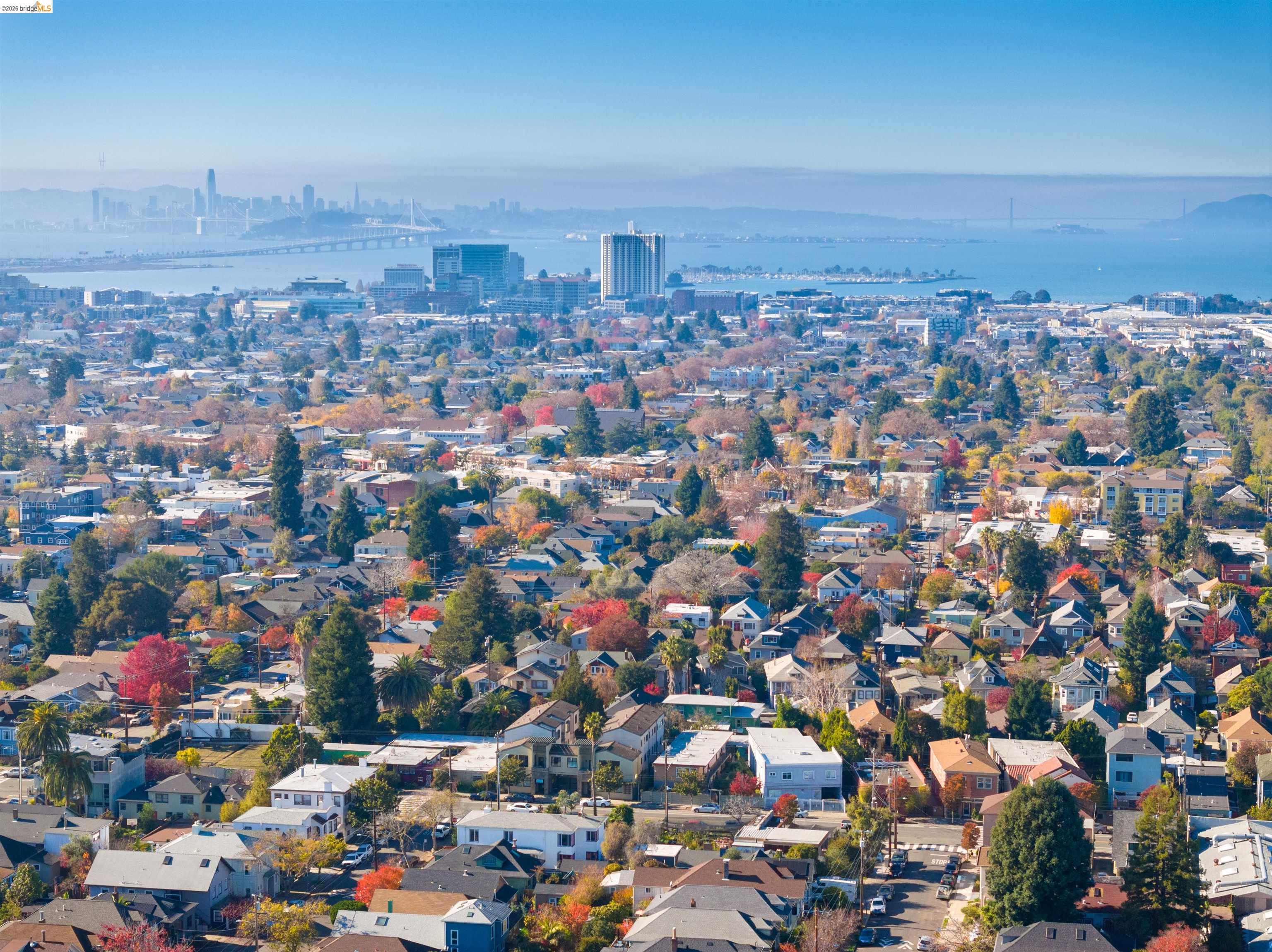 Photo #41: 41132338 Listing: Photo #41