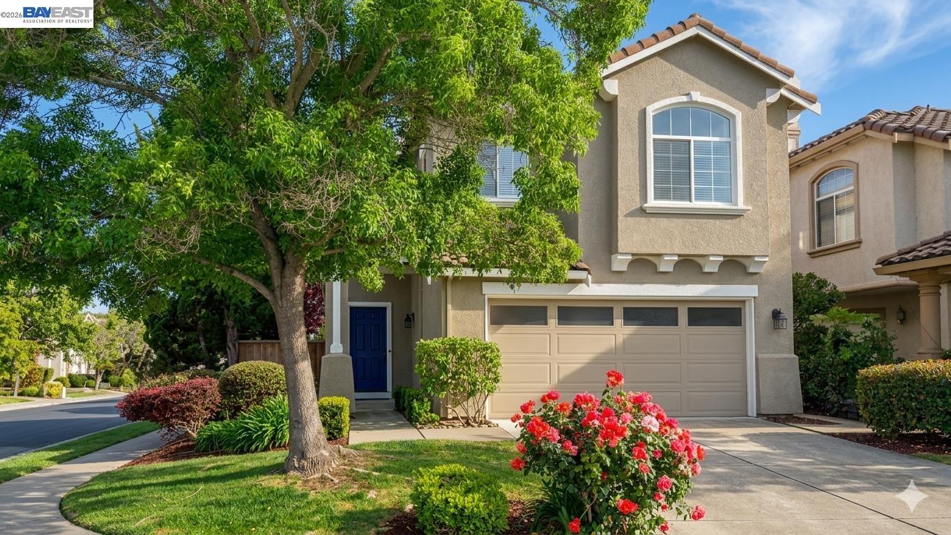 Front Image Thumbnail for BE41132365