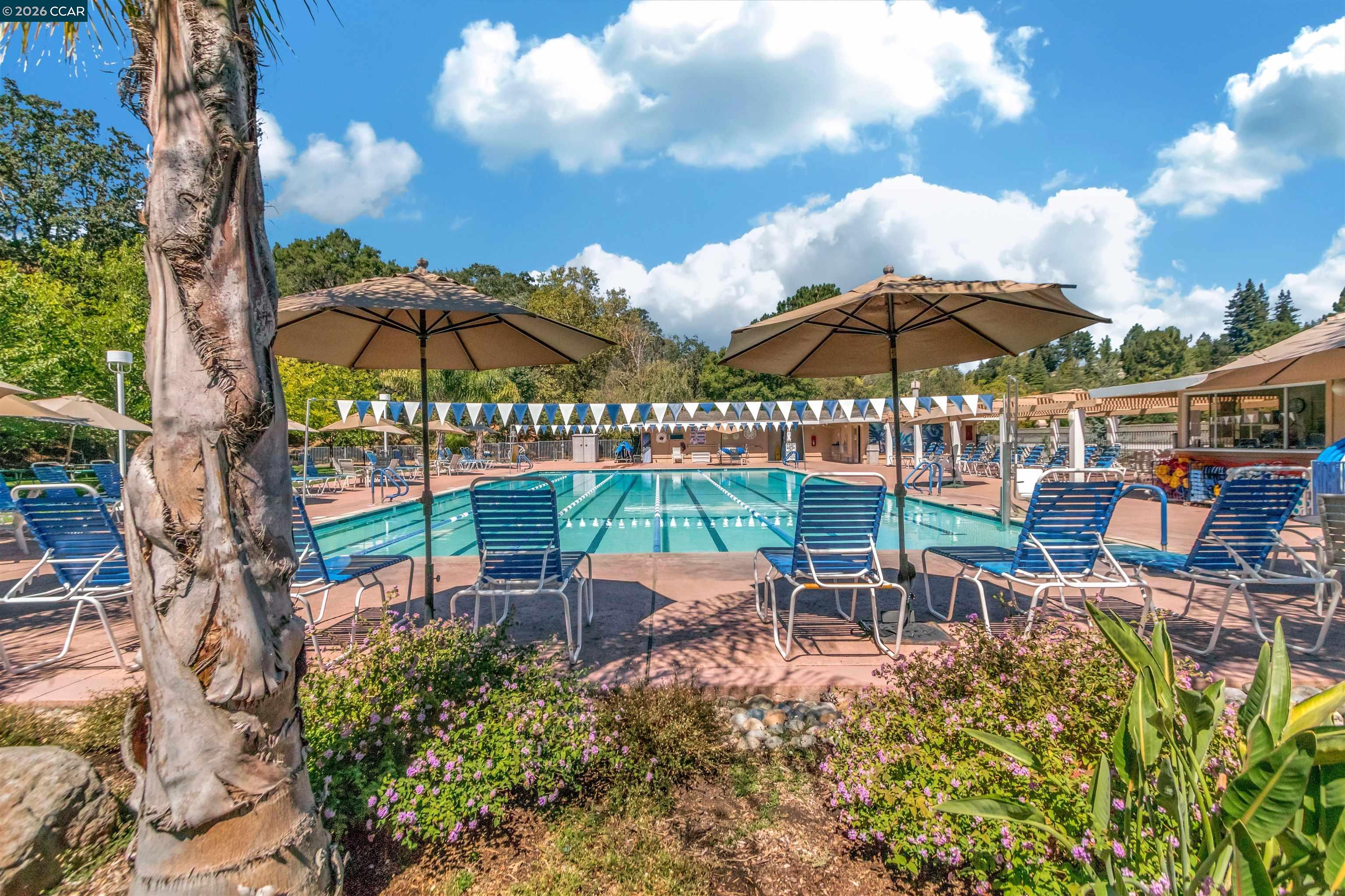 Photo #32: 41132366 Listing: Photo #32